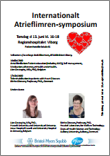 AFLI-Symposium Viborg 13 Juni 2019