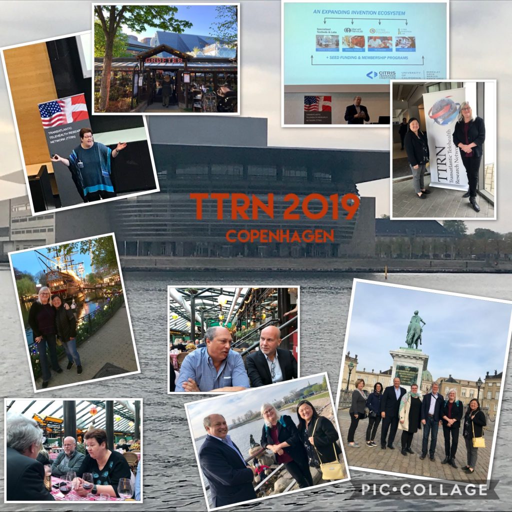 TTRN CPH2019 Collage