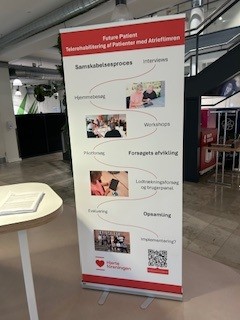 FP2AF Afslutningskonference, Samskabelse, poster